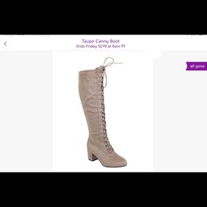SHOE SPECIAL! Taupe knee boots
